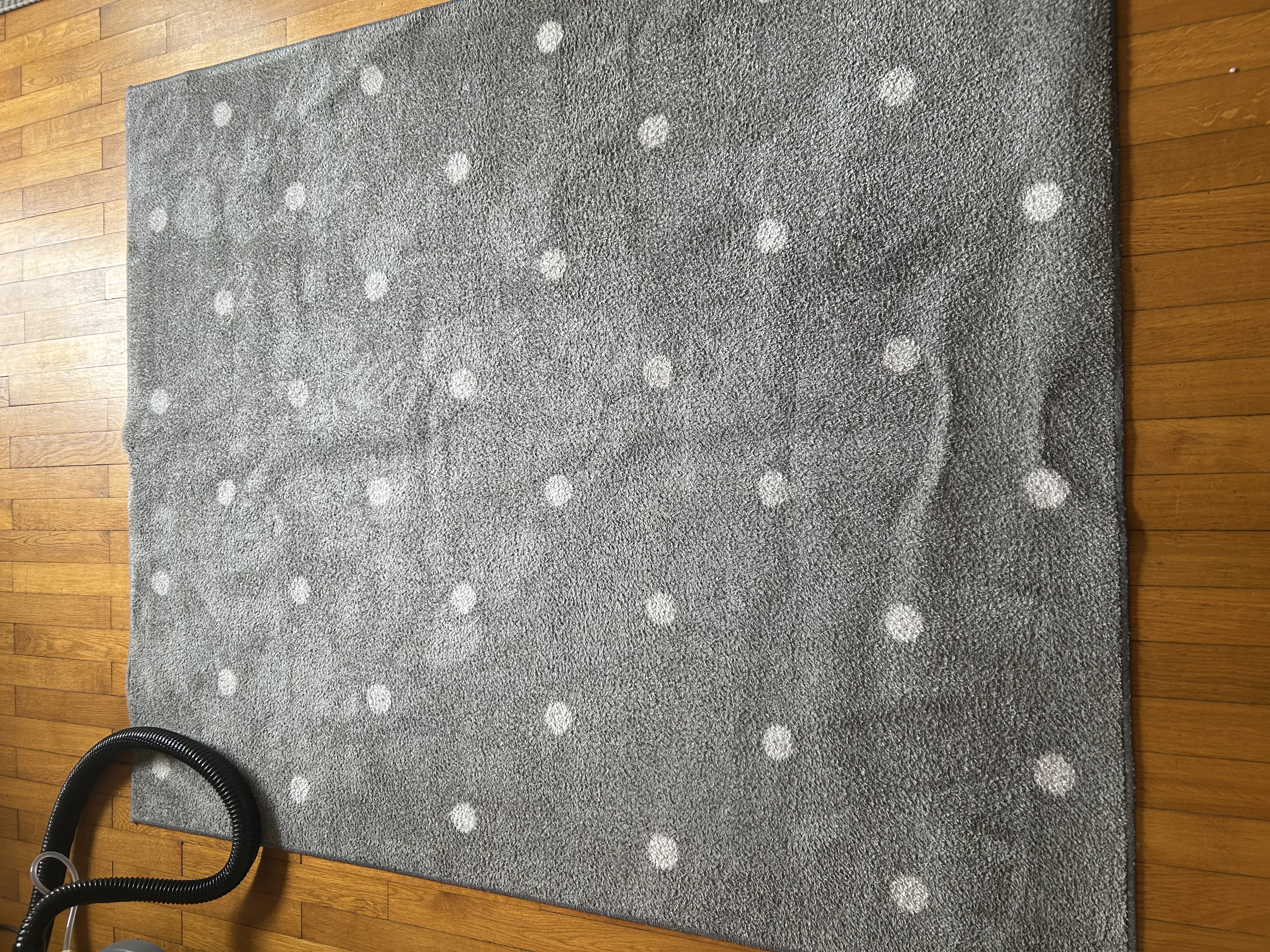 Tapis désinfecté et nettoyé en profondeur par KANAP, aspect neuf retrouvé après intervention à Talange