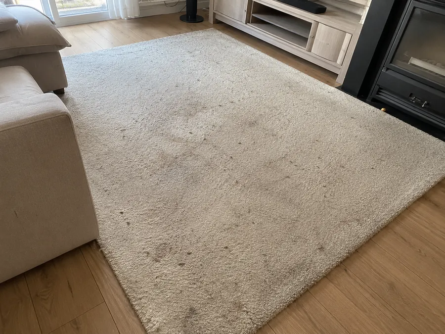 Tapis beige sale avant nettoyage professionnel Kanap Lorraine